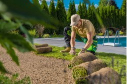 Rasen anlegen: Schritt-für-Schritt zur perfekten Grünfläche Rasen anlegen: Schritt-für-Schritt zur perfekten Grünfläche